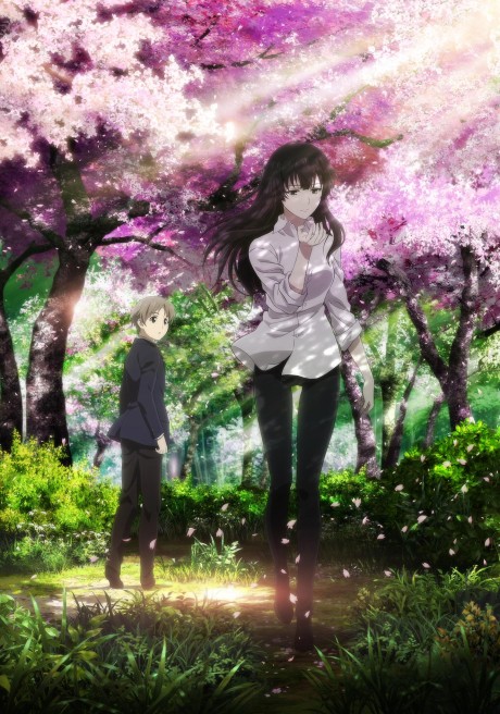 Sakurako-san